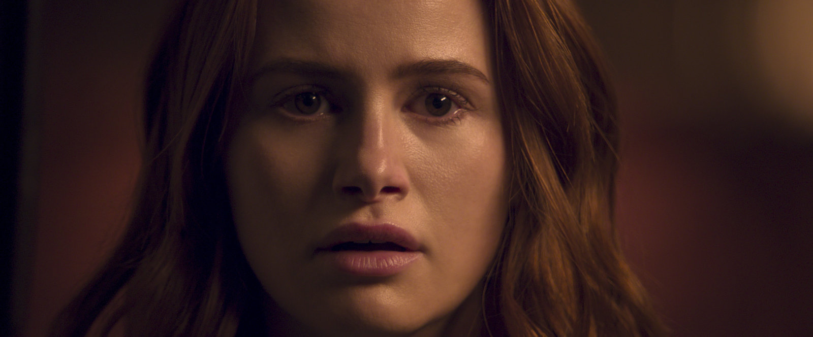 The Strangers - Chapter 2  (Blu-ray Disc)