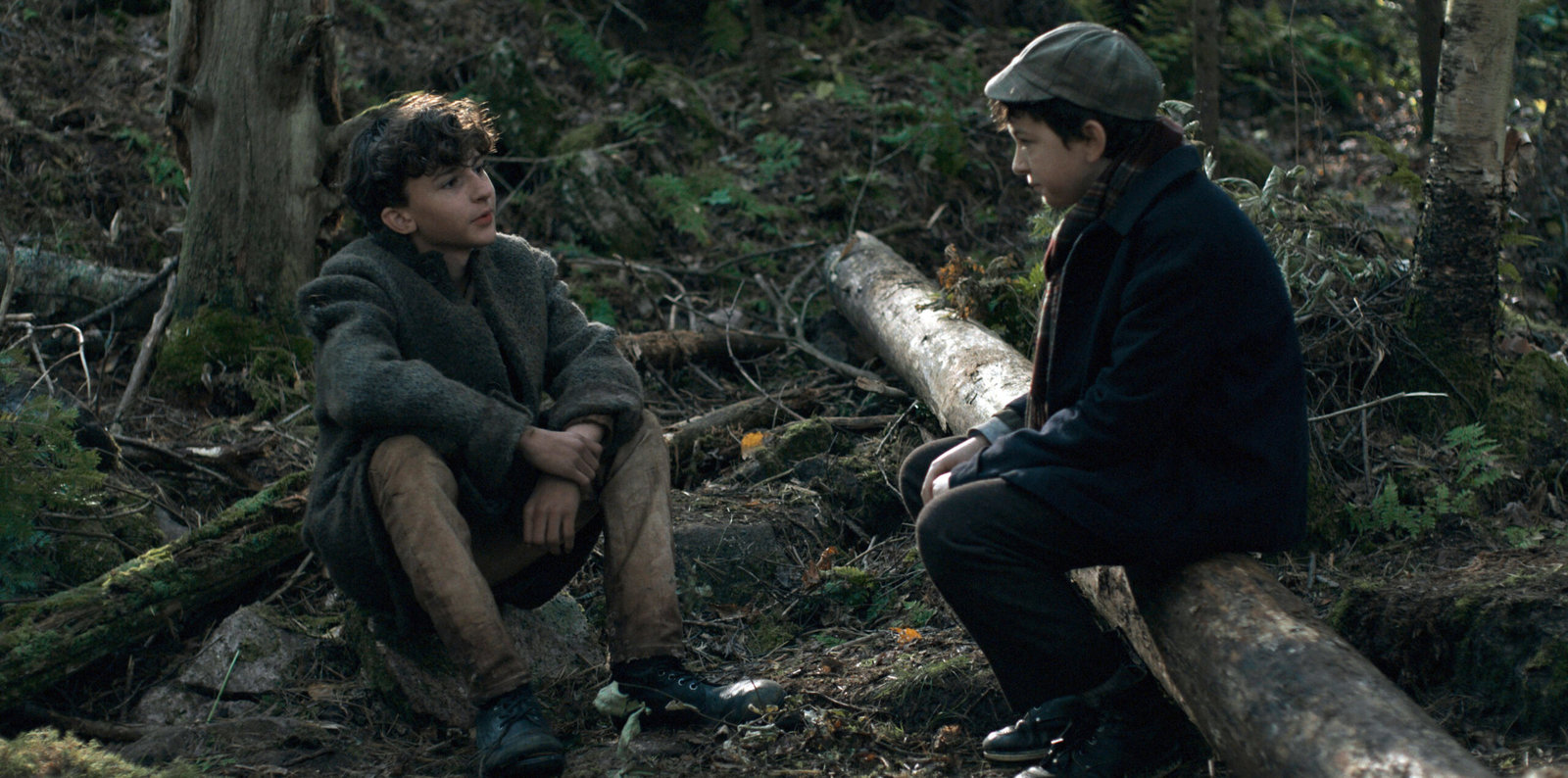 The Boy in the Woods - Überleben ist alles  (DVD)