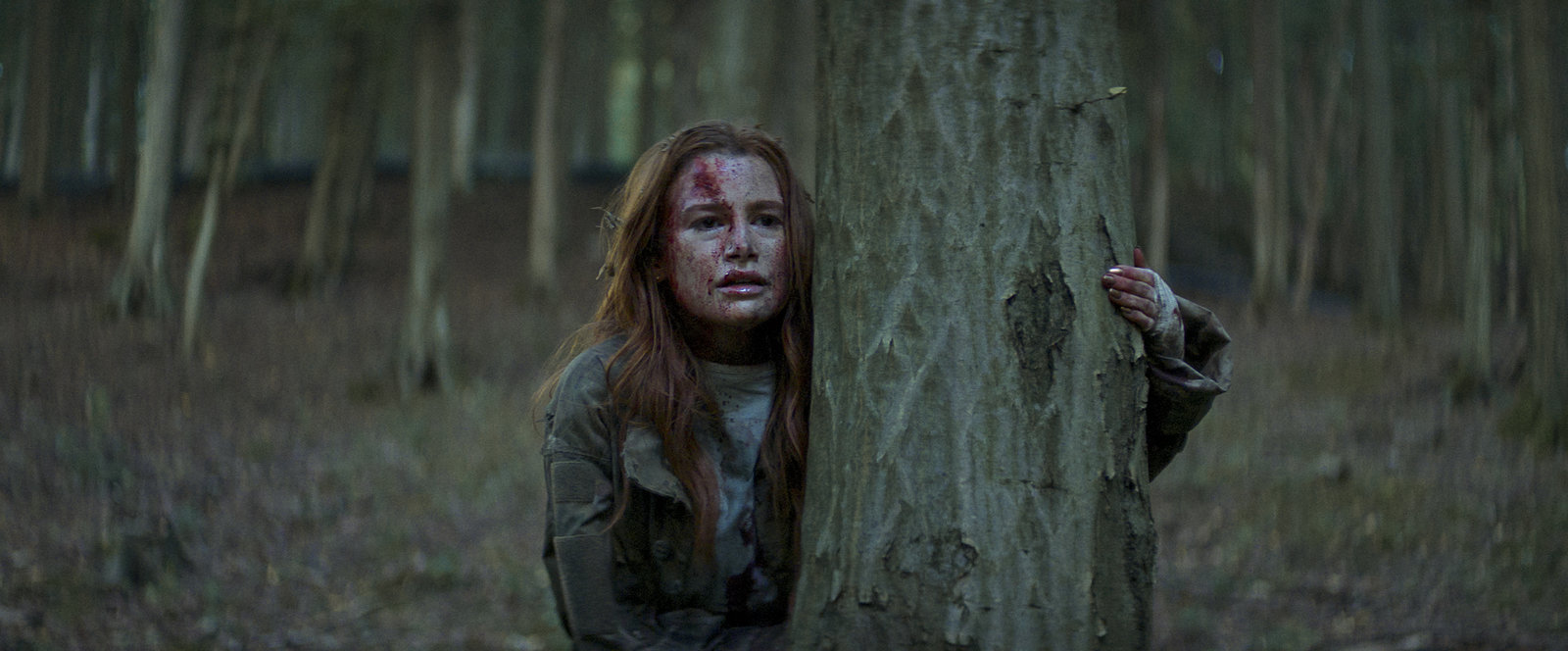 The Strangers - Chapter 2  (Blu-ray Disc)