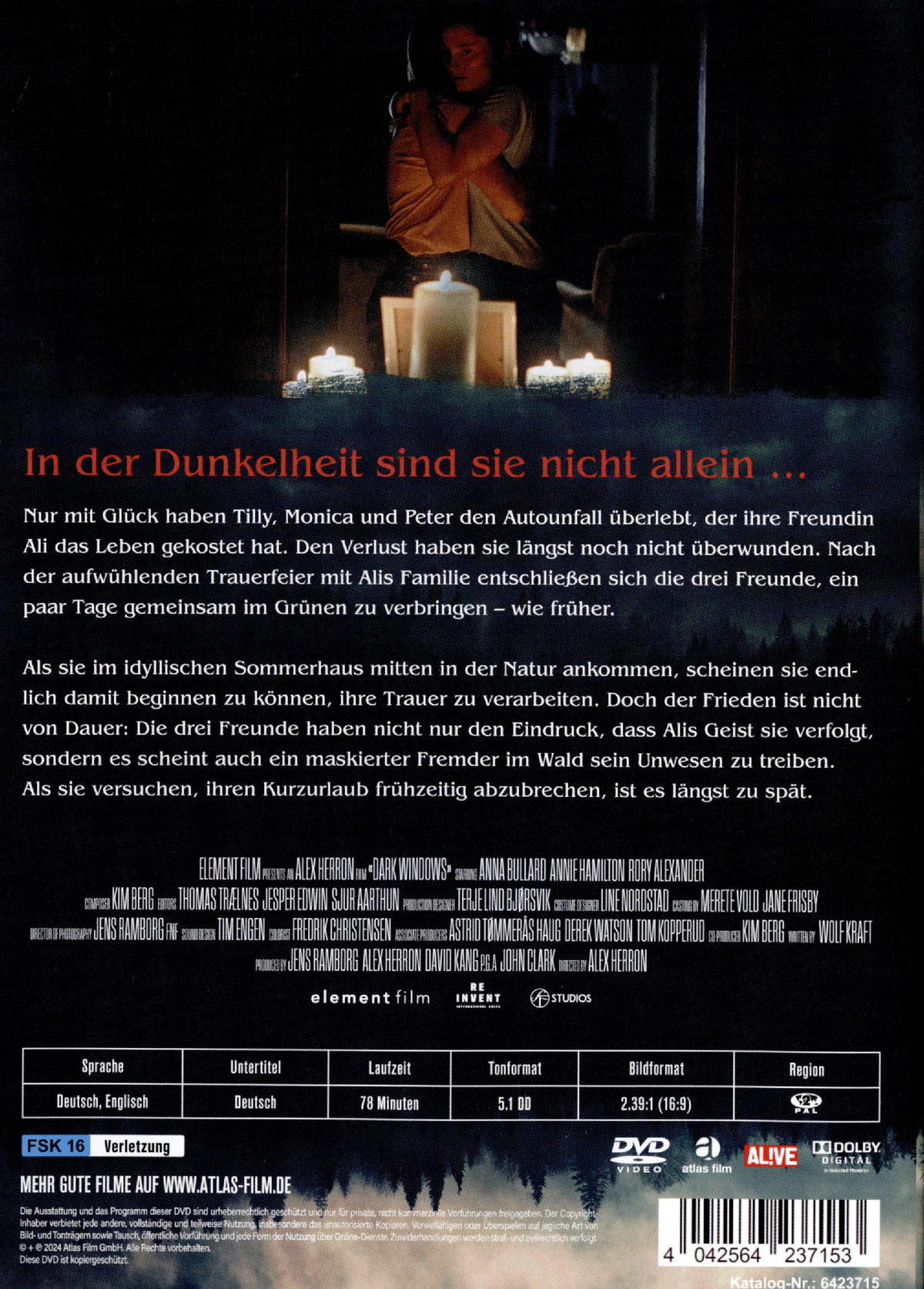 Dark Windows - Fenster zur Finsternis  (DVD)
