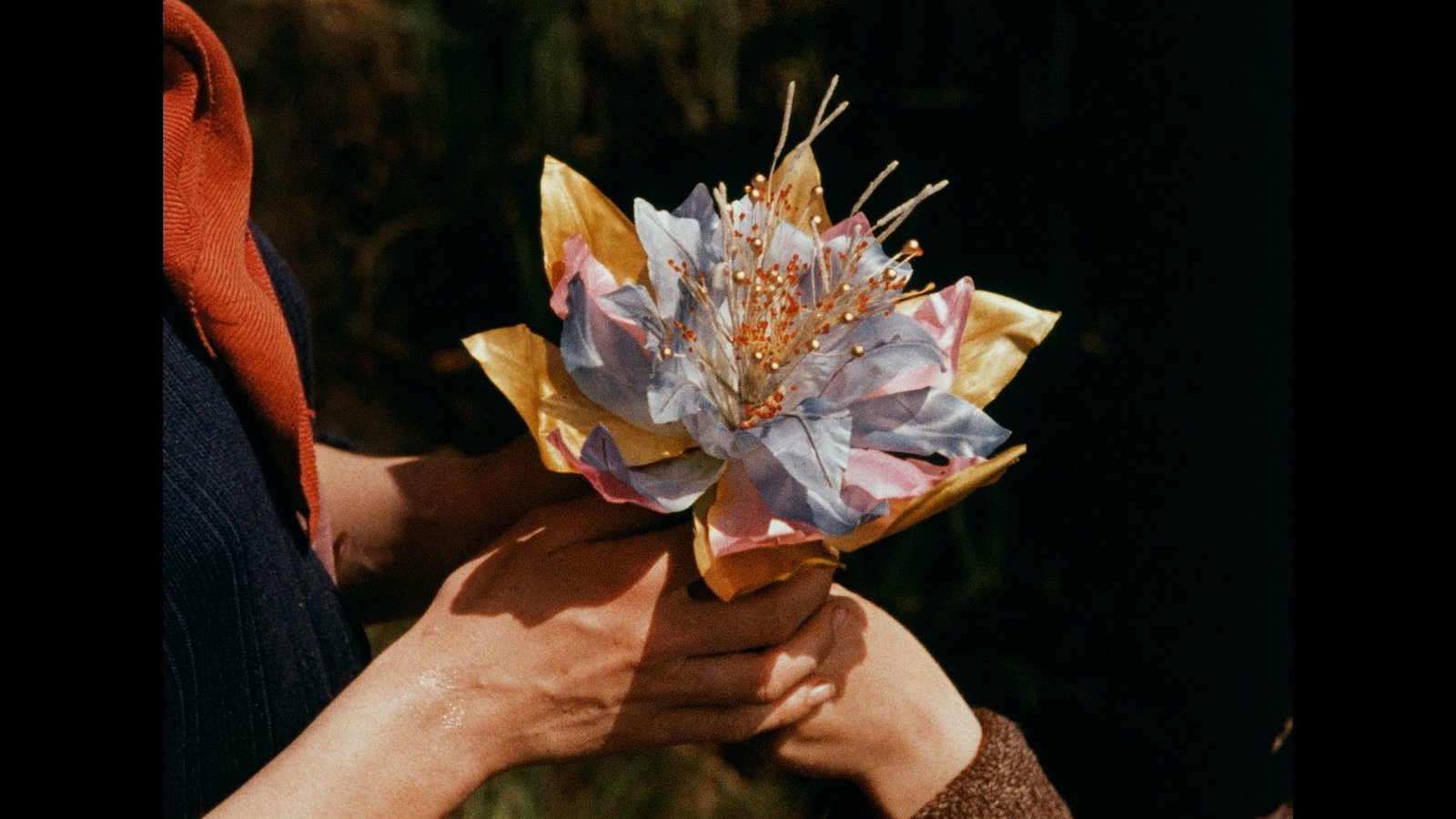 Die Heinzelmännchen (1956) (Filmjuwelen / Schongerfilm-Märchen)  (DVD)