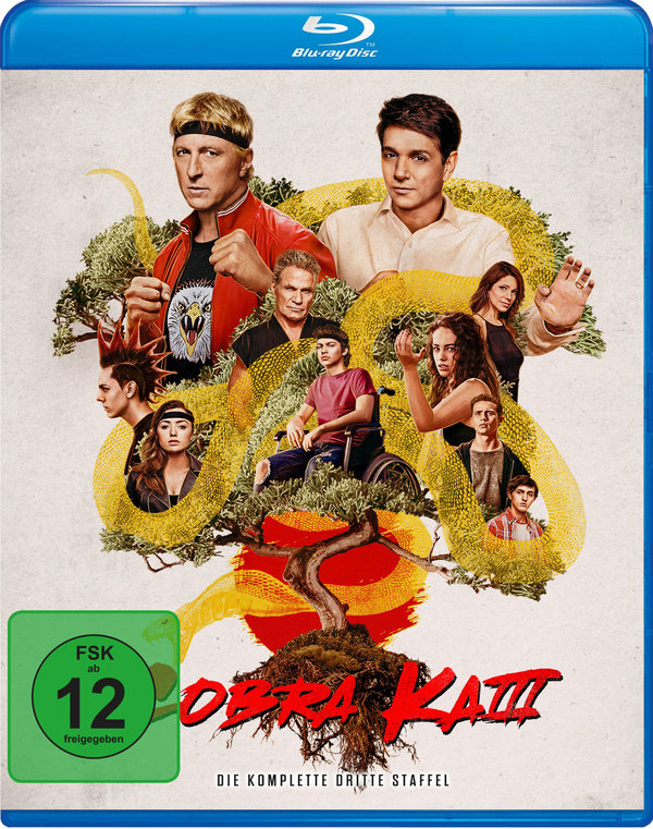 Cobra Kai - Staffel 3 (blu-ray)