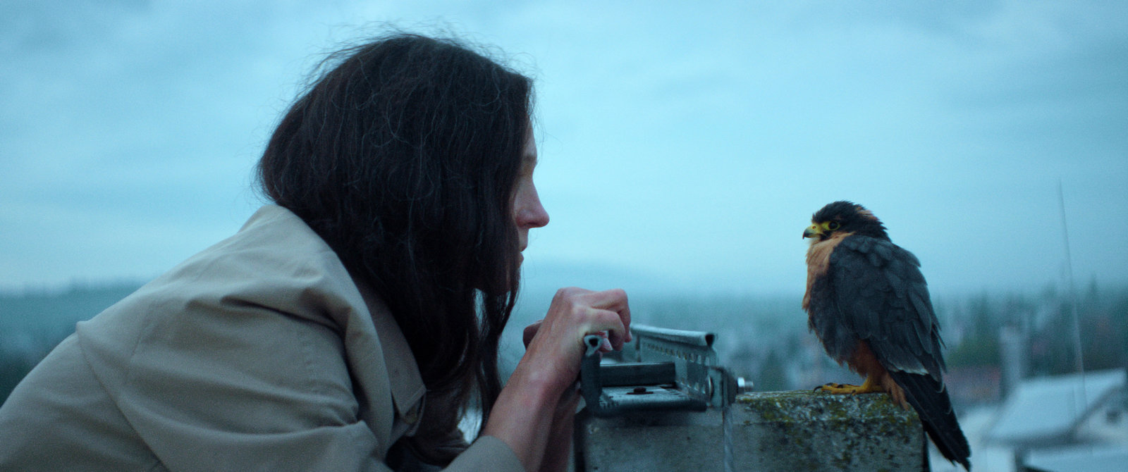 Chaos und Stille  (DVD)