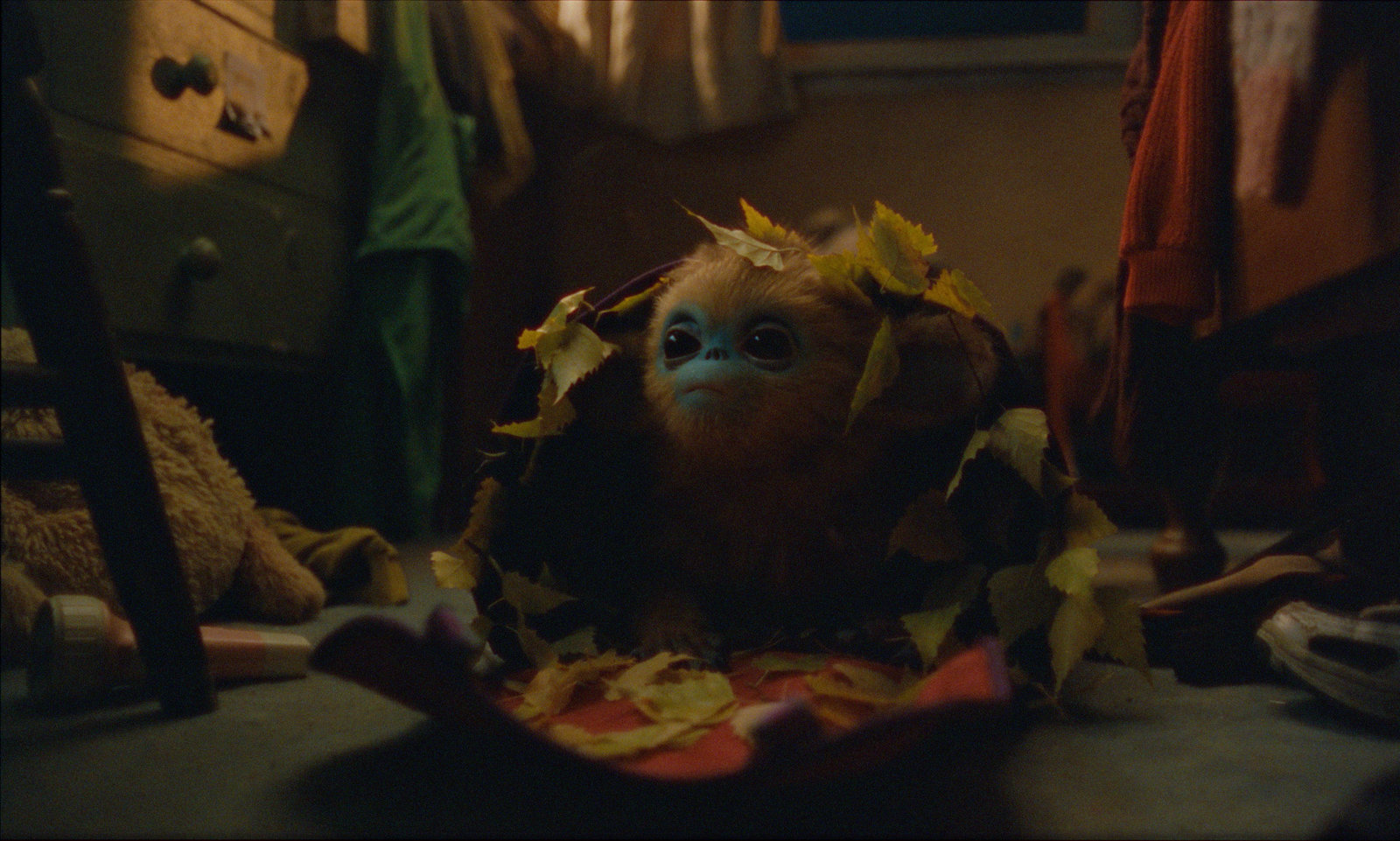 Die Legende von Ochi - Limited Mediabook Edition  (4K Ultra HD+blu-ray)