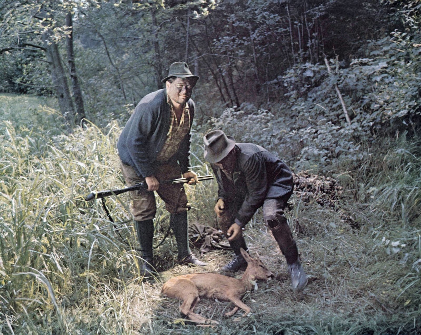 Das Mädel aus dem Böhmerwald (Filmjuwelen)  (DVD)