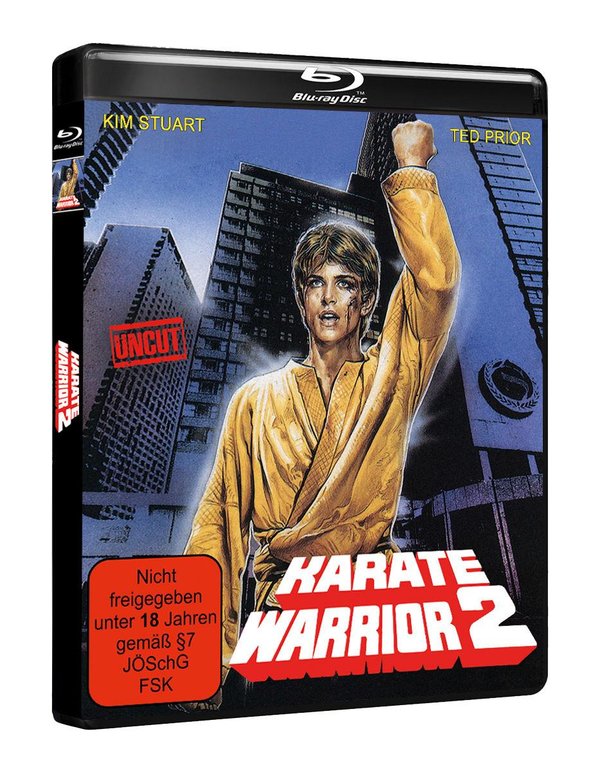 Karate Warrior 2  (Blu-ray Disc)