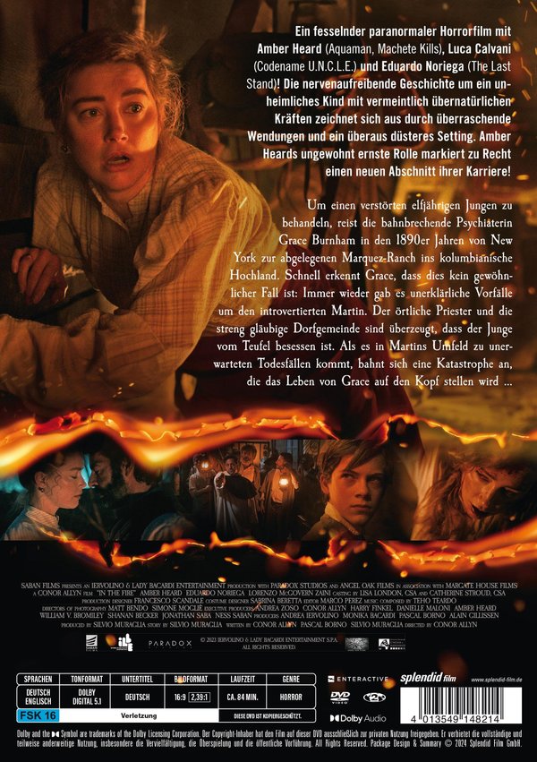 In the Fire  (DVD)