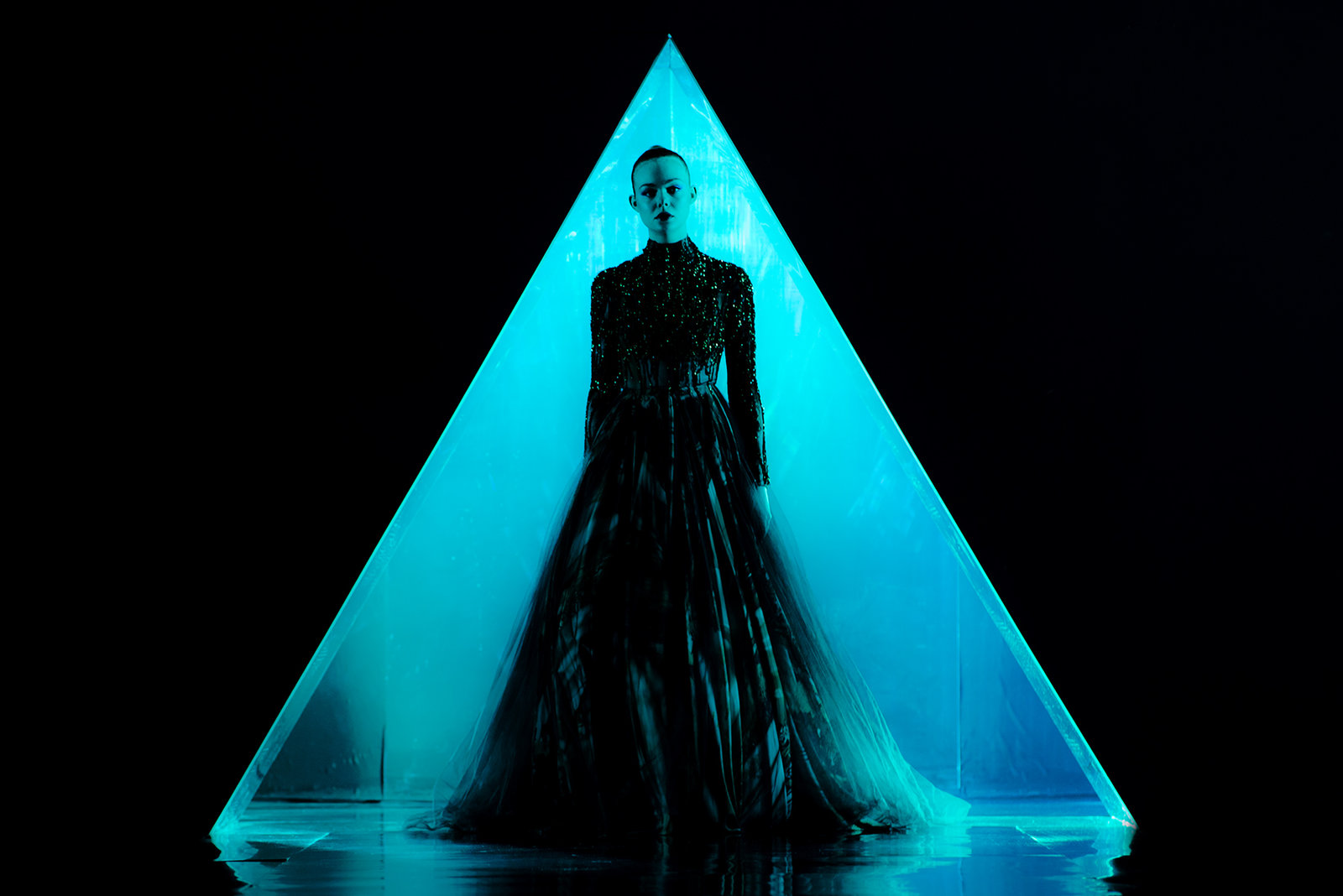 Neon Demon, The (blu-ray)