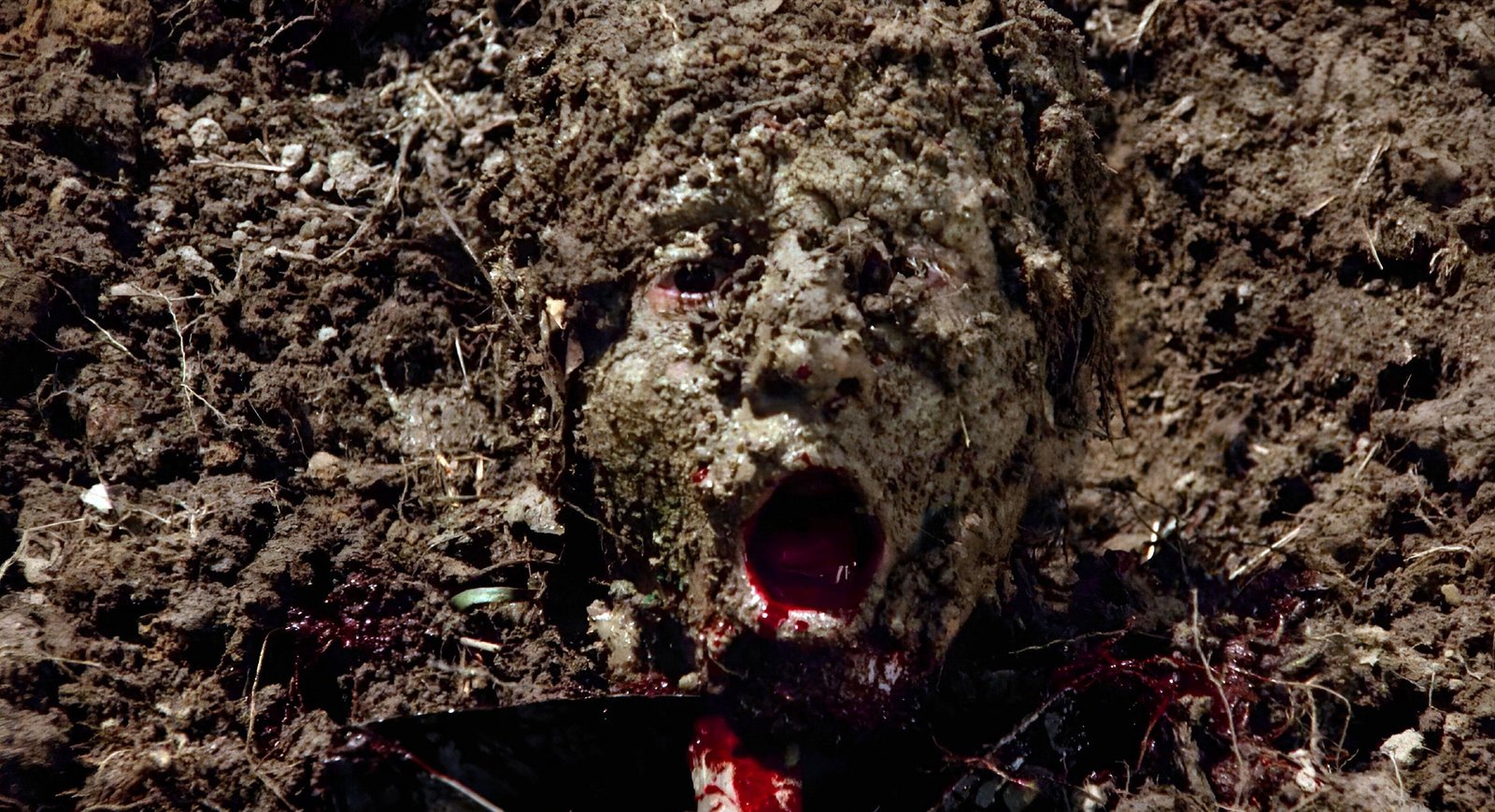 Eyes of Fire - Das Tal des Grauens (uncut/digital remastered)  (DVD)