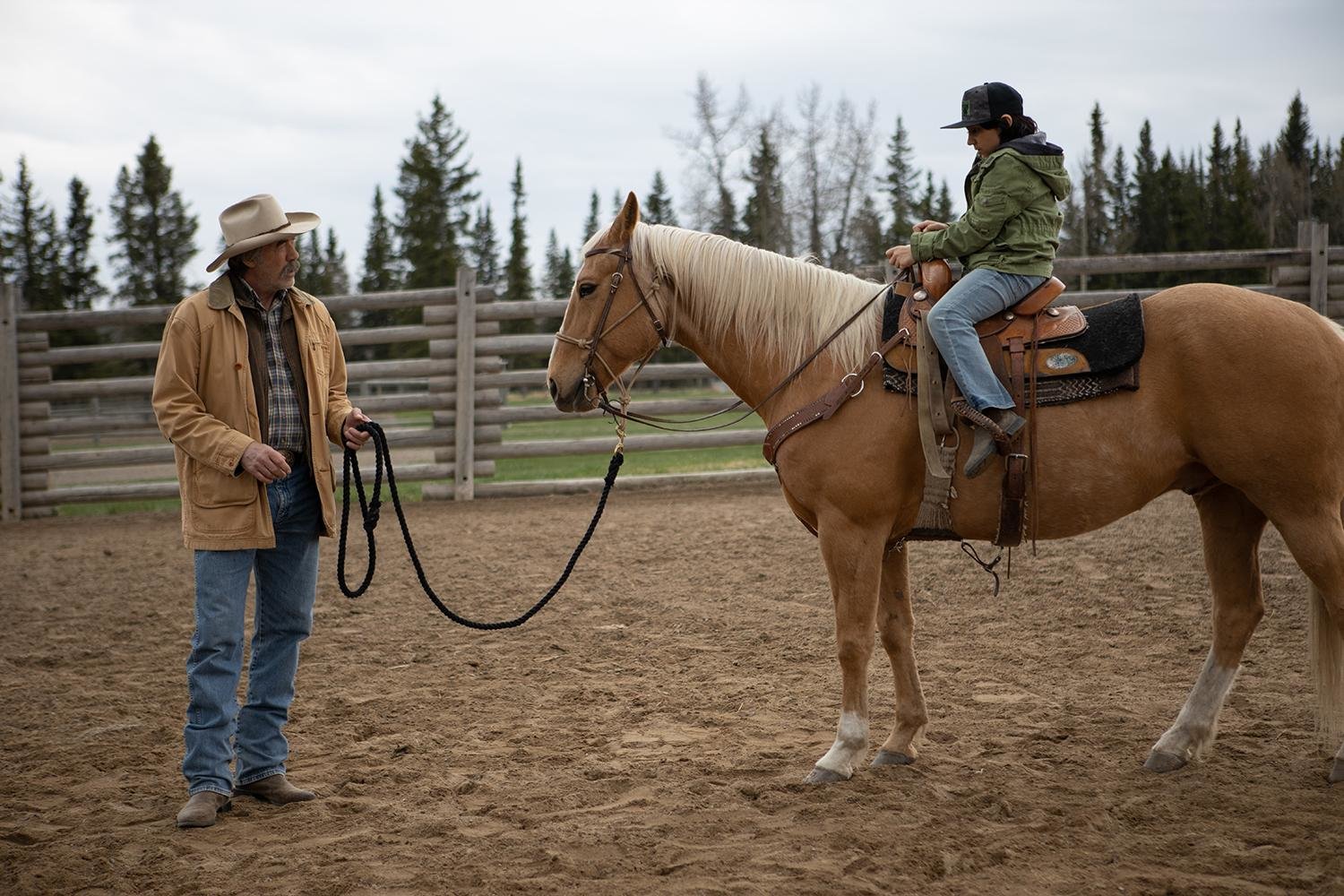 Heartland - Paradies für Pferde - Staffel 13 (Neuauflage)  [4 DVDs]  (DVD)