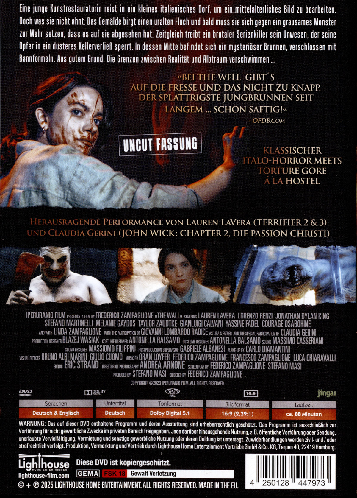 The Well  (DVD)