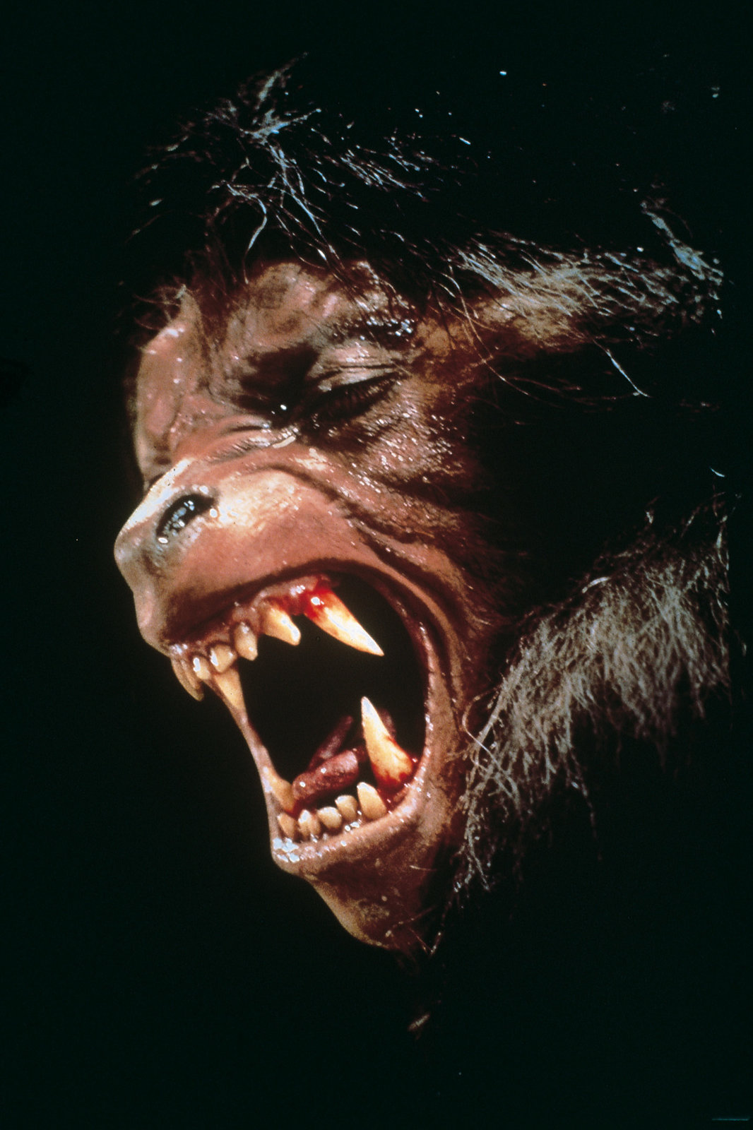 American Werewolf in London (blu-ray)