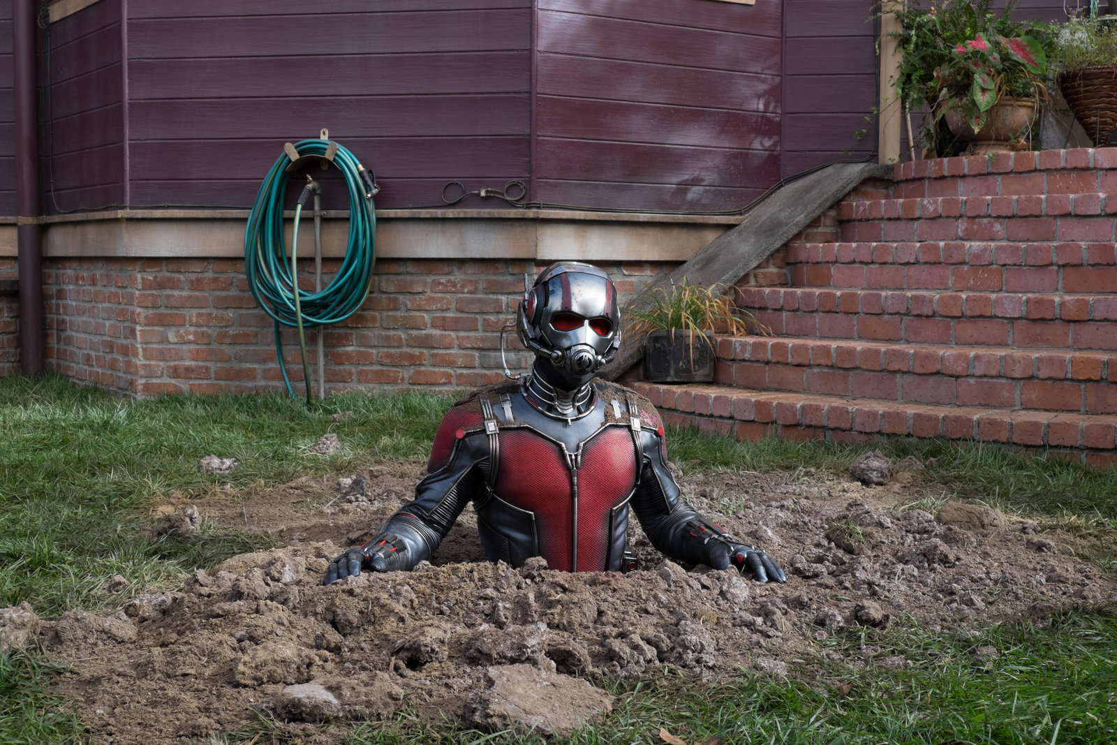 Ant-Man (4K Ultra HD)