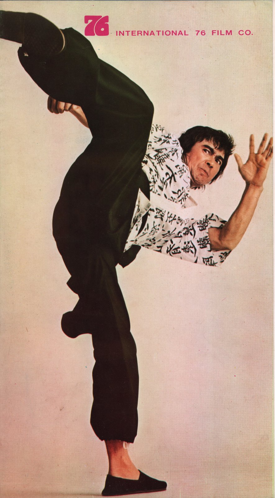 In der Höhle des schwarzen Panthers  (DVD)