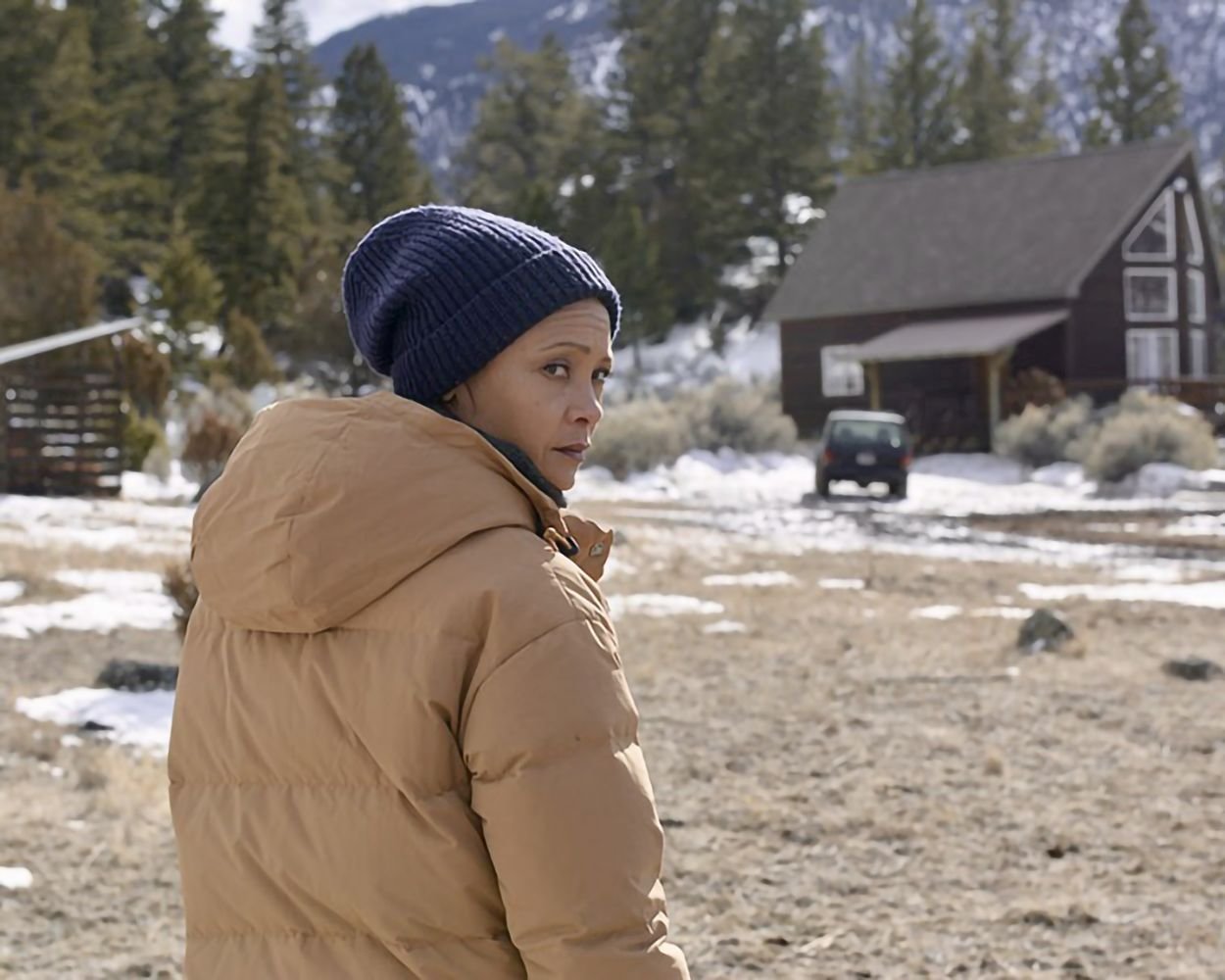 God's Country / Preisgekrönter packender Thriller mit den Stars aus „Yellowstone“ und „Westworld“  (Blu-ray Disc)