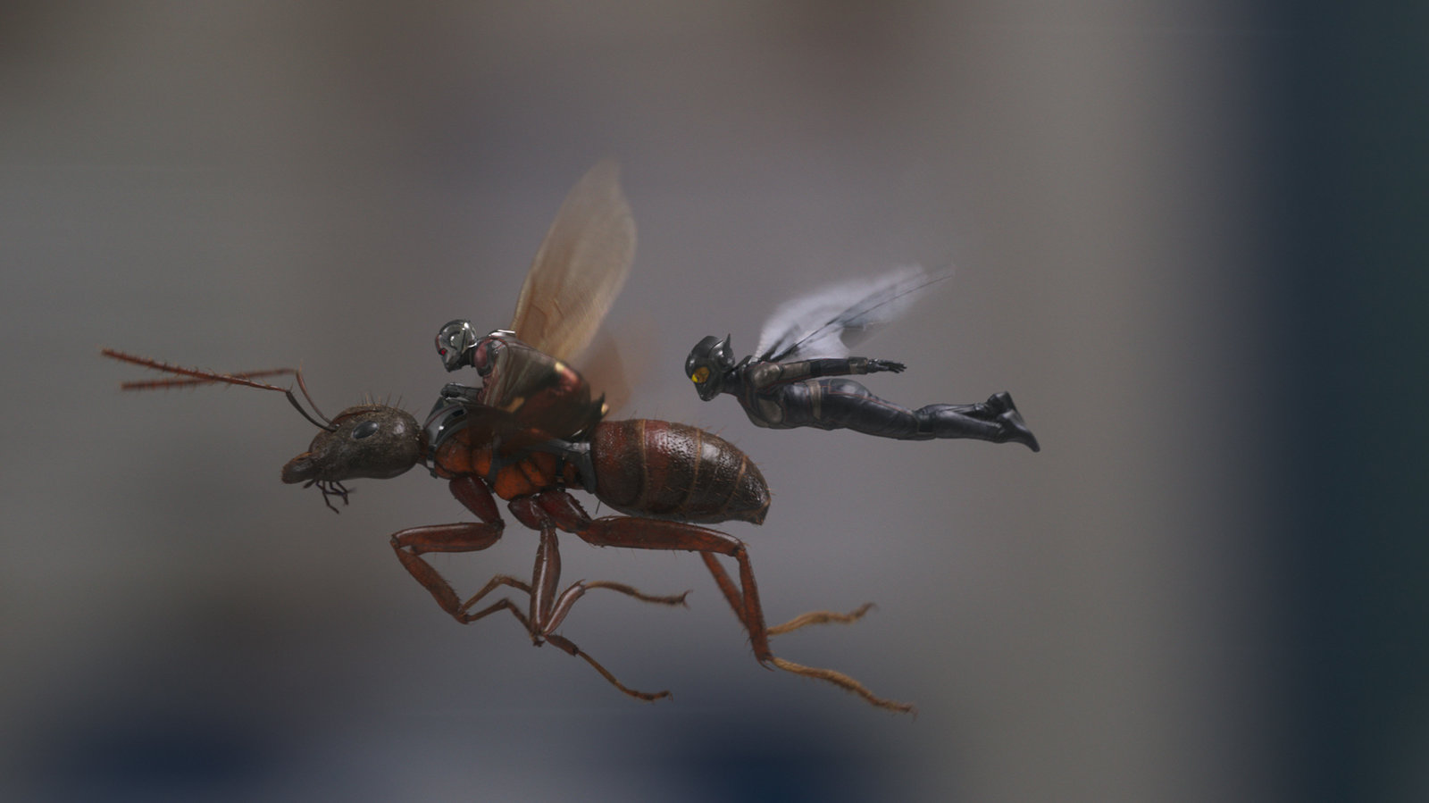 Ant-Man and the Wasp (4K Ultra HD)