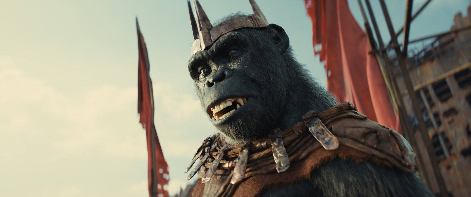 Planet der Affen - New Kingdom  (4K Ultra HD) (+ Blu-ray) 