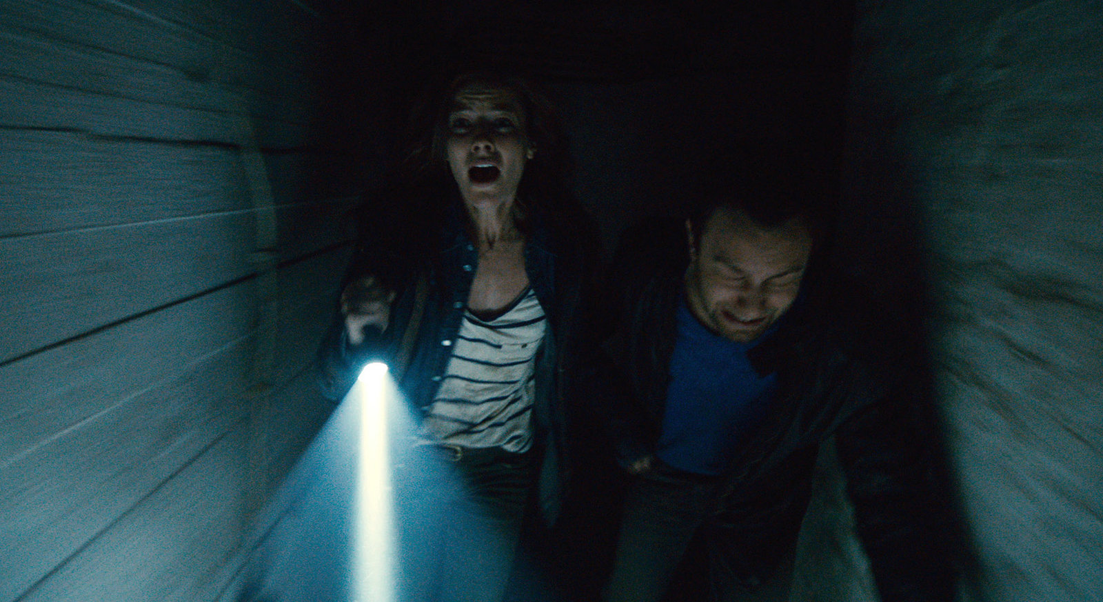 Chernobyl Diaries  (DVD)