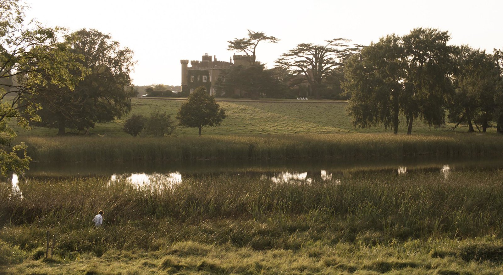 WILDES LAND - Die Rückehr der Natur  (DVD)