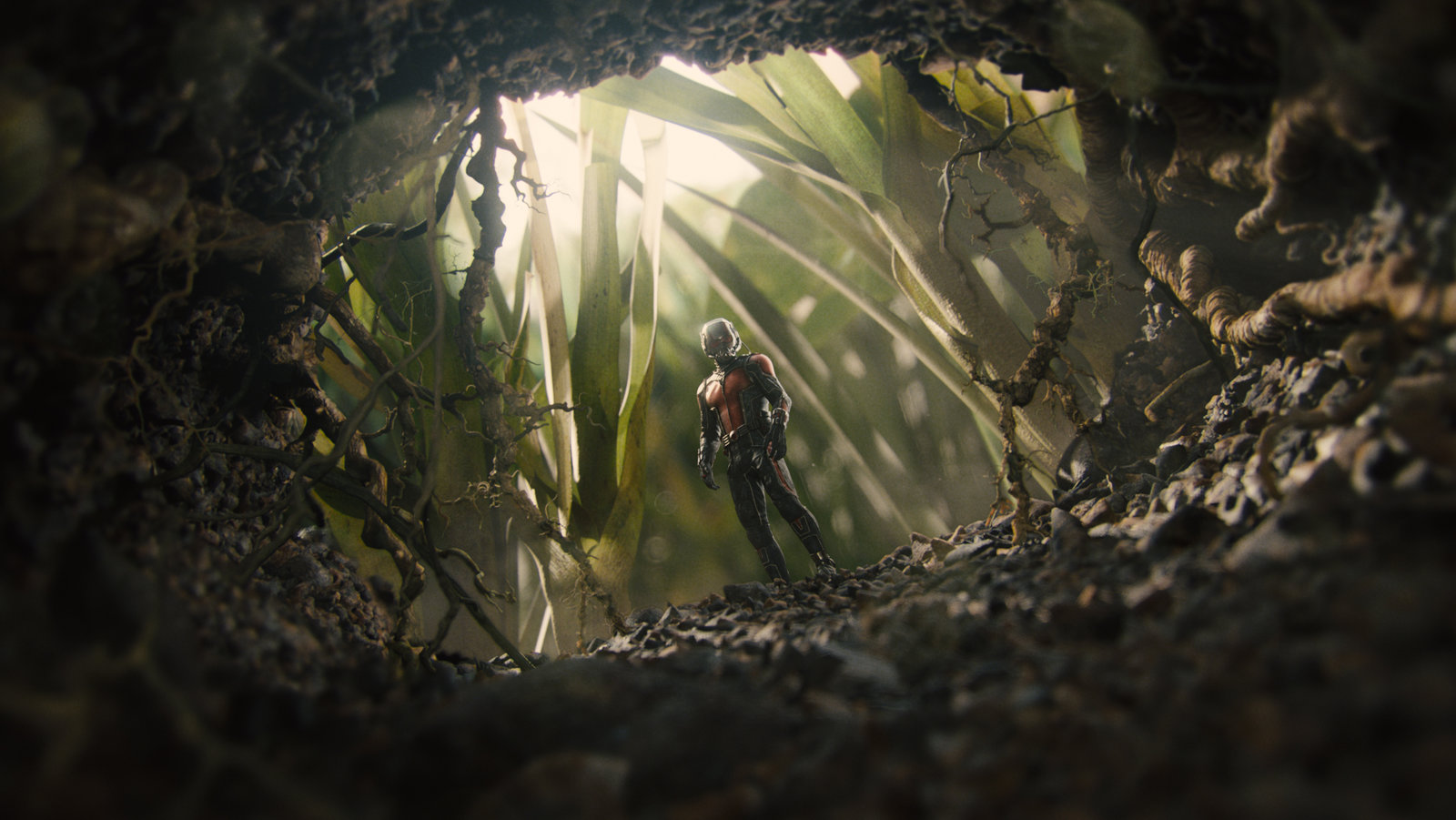 Ant-Man (4K Ultra HD)