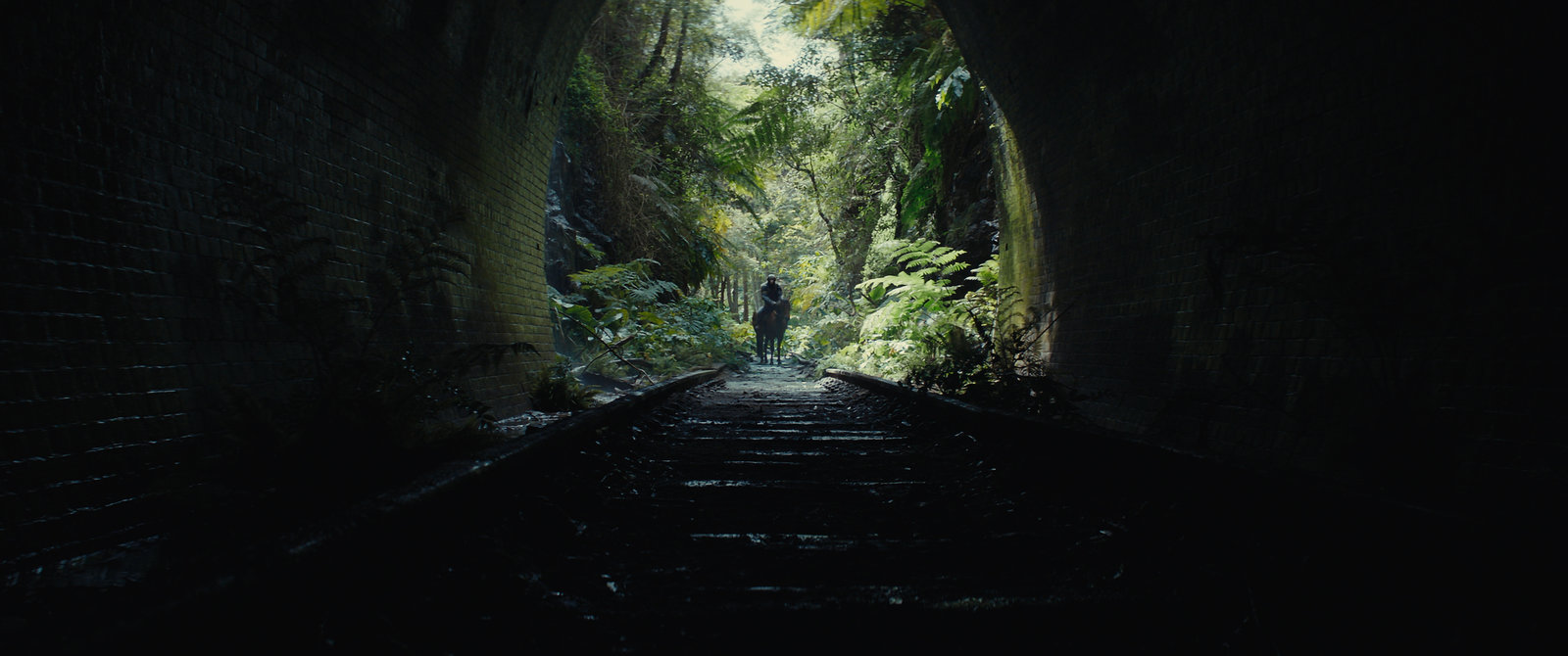 Planet der Affen - New Kingdom  (4K Ultra HD) (+ Blu-ray) 