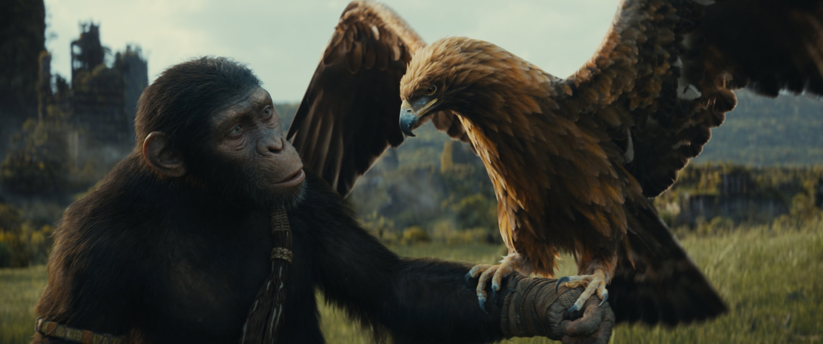Planet der Affen - New Kingdom  (4K Ultra HD) (+ Blu-ray) 