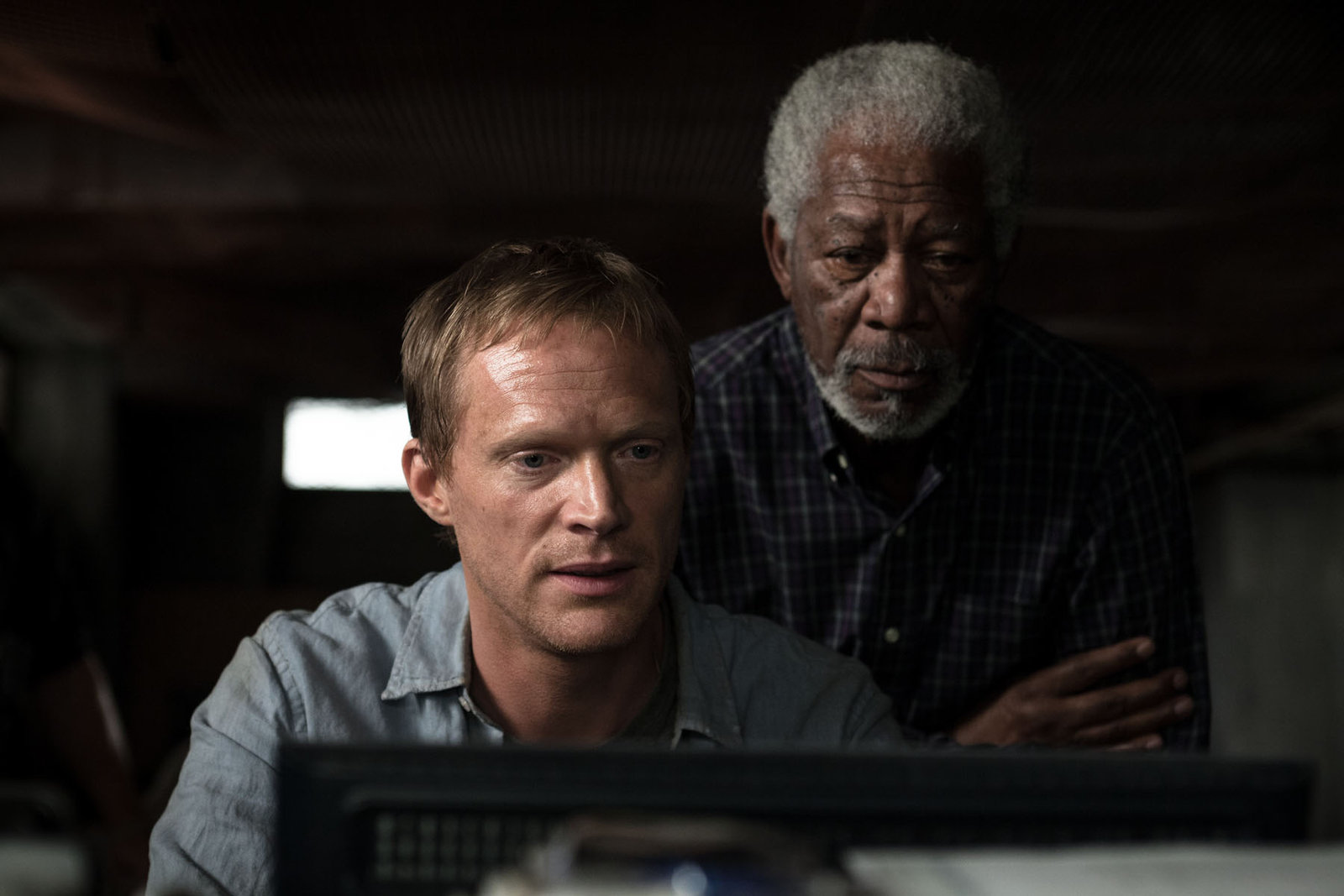 Transcendence  (DVD)