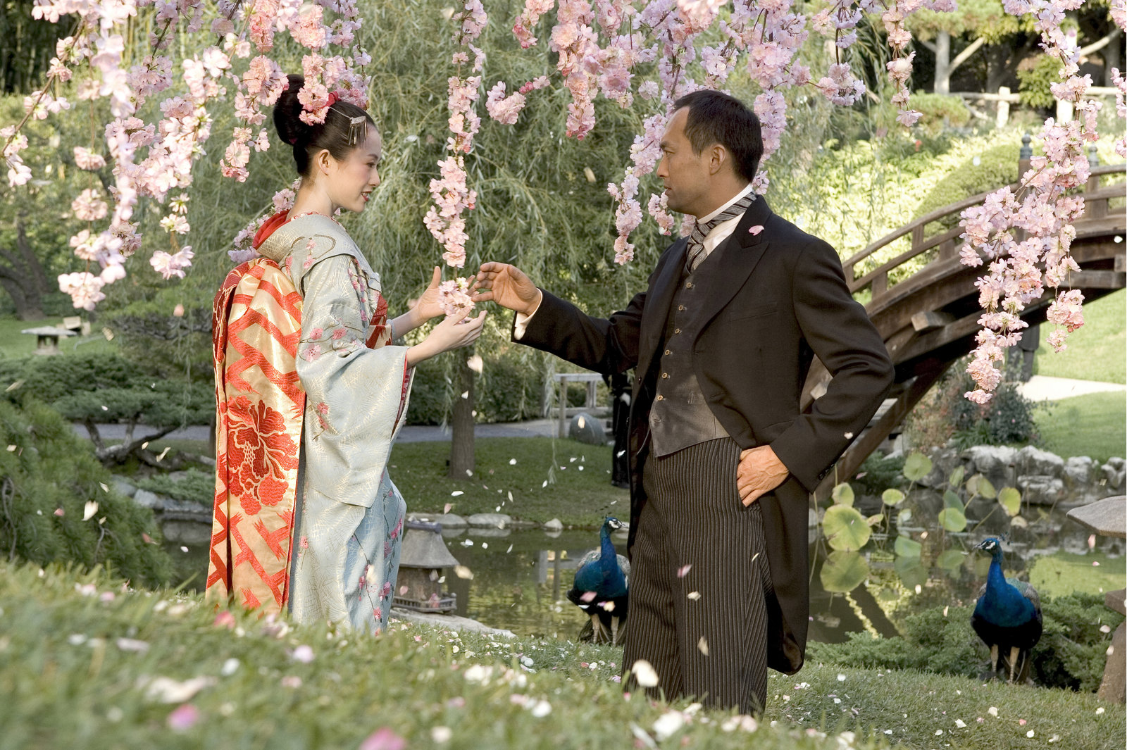 Die Geisha  (DVD)