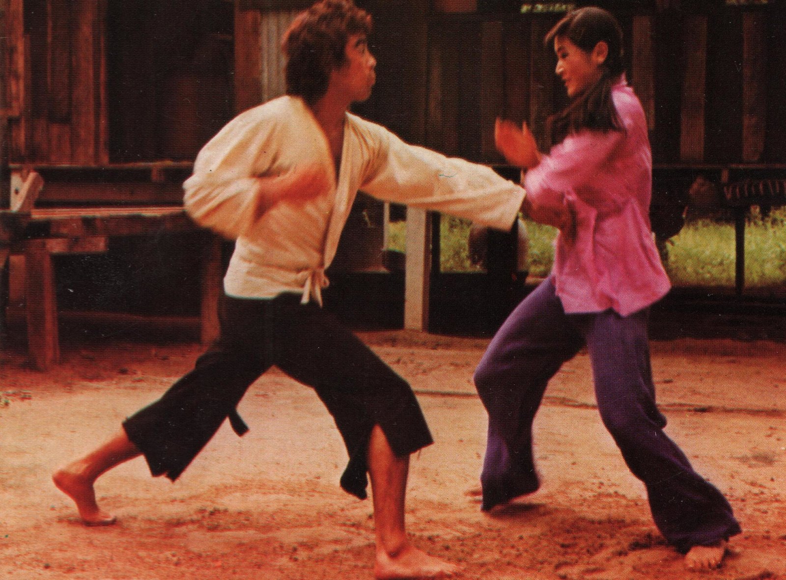 In der Höhle des schwarzen Panthers  (DVD)