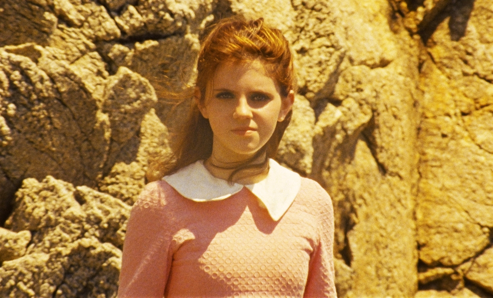 Moonrise Kingdom  (DVD)