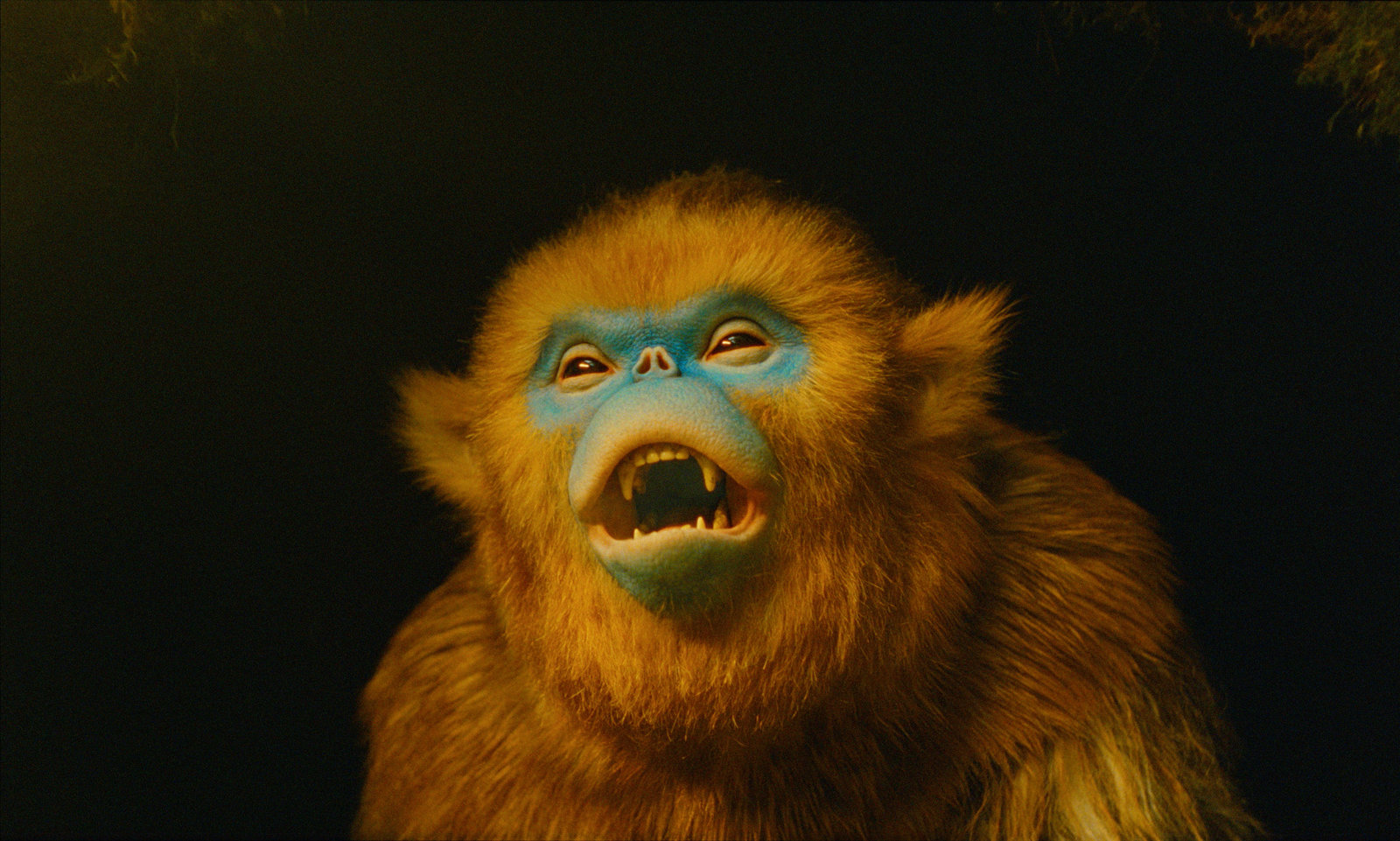 Die Legende von Ochi - Limited Mediabook Edition  (4K Ultra HD+blu-ray)