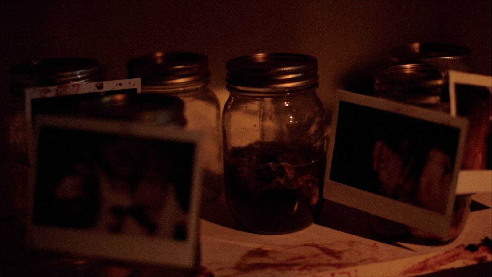 Thanatamorphose - Uncut Mediabook Edition  (blu-ray) (B)