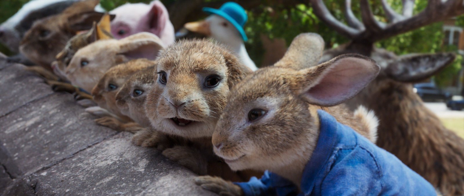 Peter Hase 2 - Ein Hase macht sich vom Acker (4K Ultra HD)
