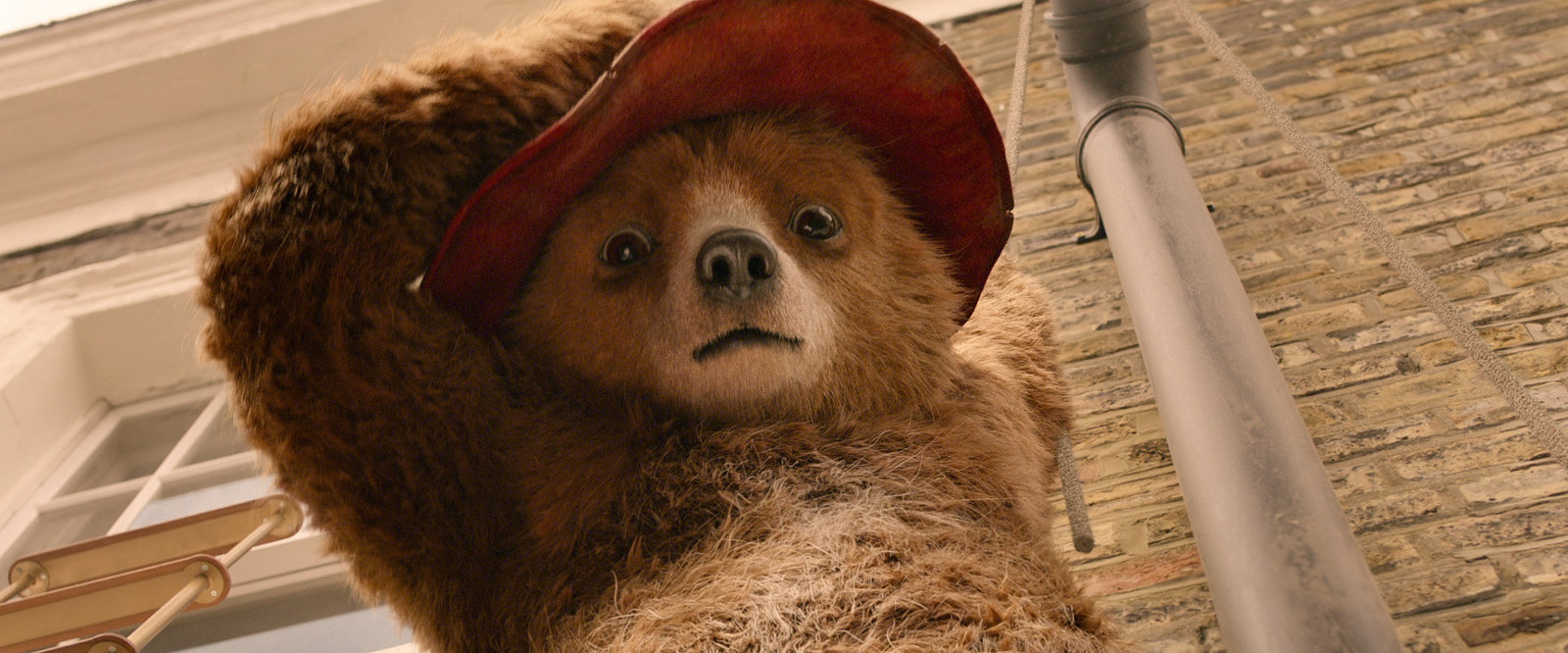 Paddington 2 (4K Ultra HD)