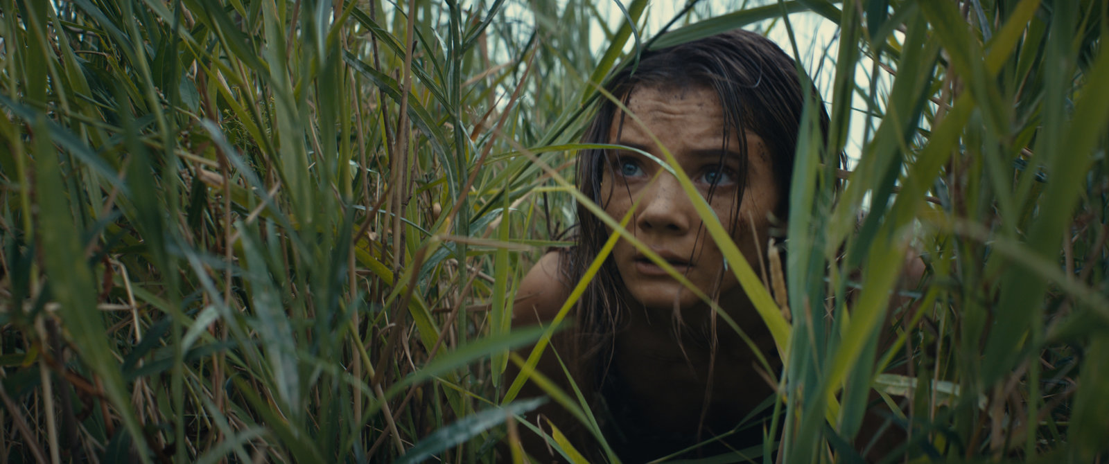 Planet der Affen - New Kingdom  (4K Ultra HD) (+ Blu-ray) 