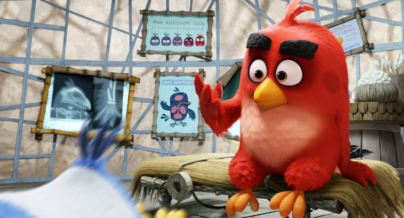 Angry Birds - Der Film 3D (3D blu-ray)