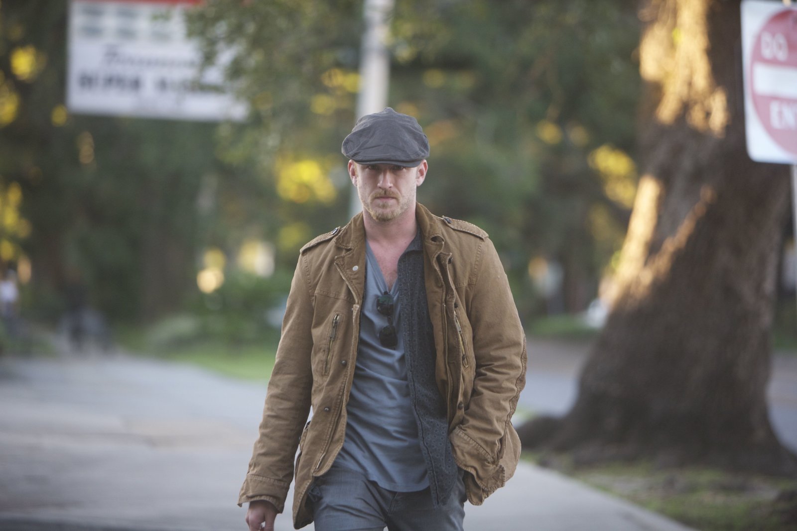 Mechanic, The (blu-ray)