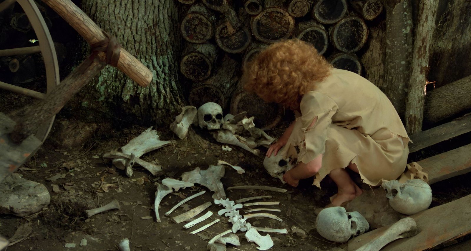 Eyes of Fire - Das Tal des Grauens (uncut/digital remastered)  (DVD)