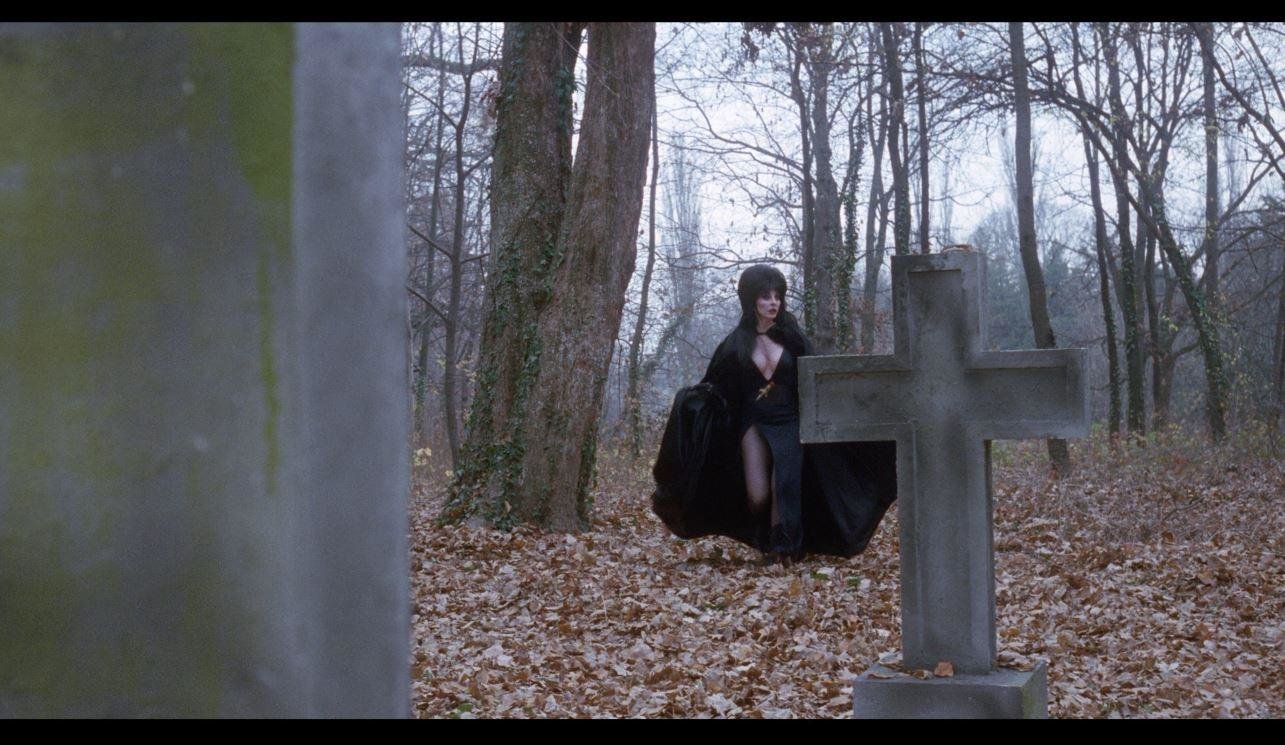 Elvira - Elvira's Haunted Hills - Uncut Mediabook Edition - Limitiert auf 111 Stück  (+ Bonus-DVD mit weiterem Horrorfilm)  (blu-ray)