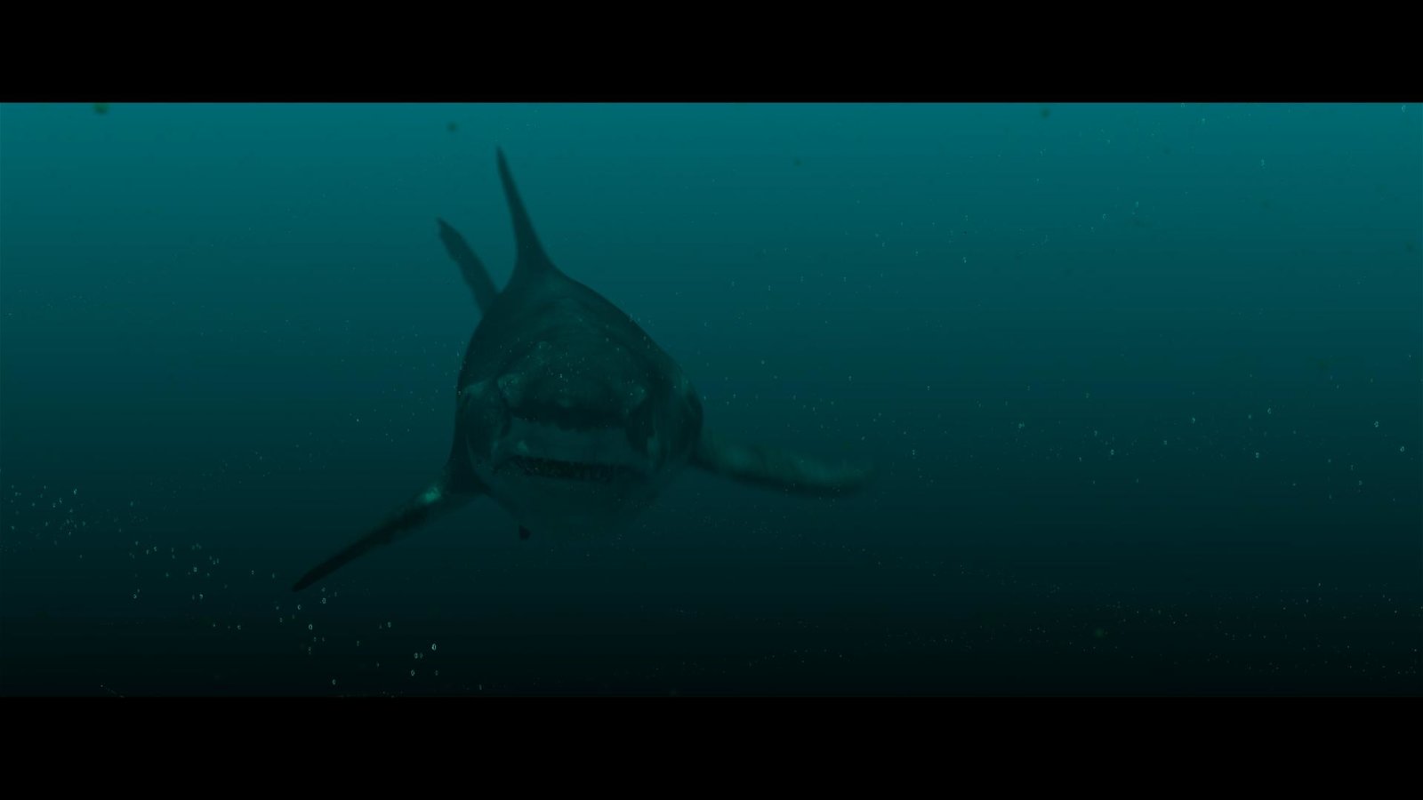 Megalodon Rising - Dieses Mal kommt er nicht allein  (Blu-ray Disc)