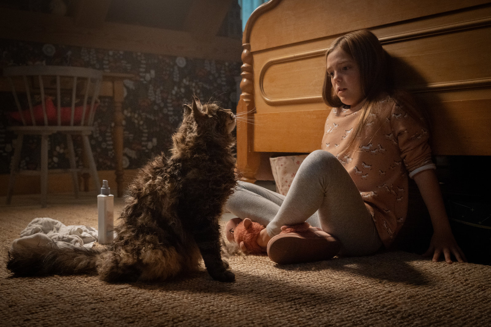 Friedhof der Kuscheltiere (2019) (blu-ray) Friedhof der Kuscheltiere (2019) (blu-ray)
