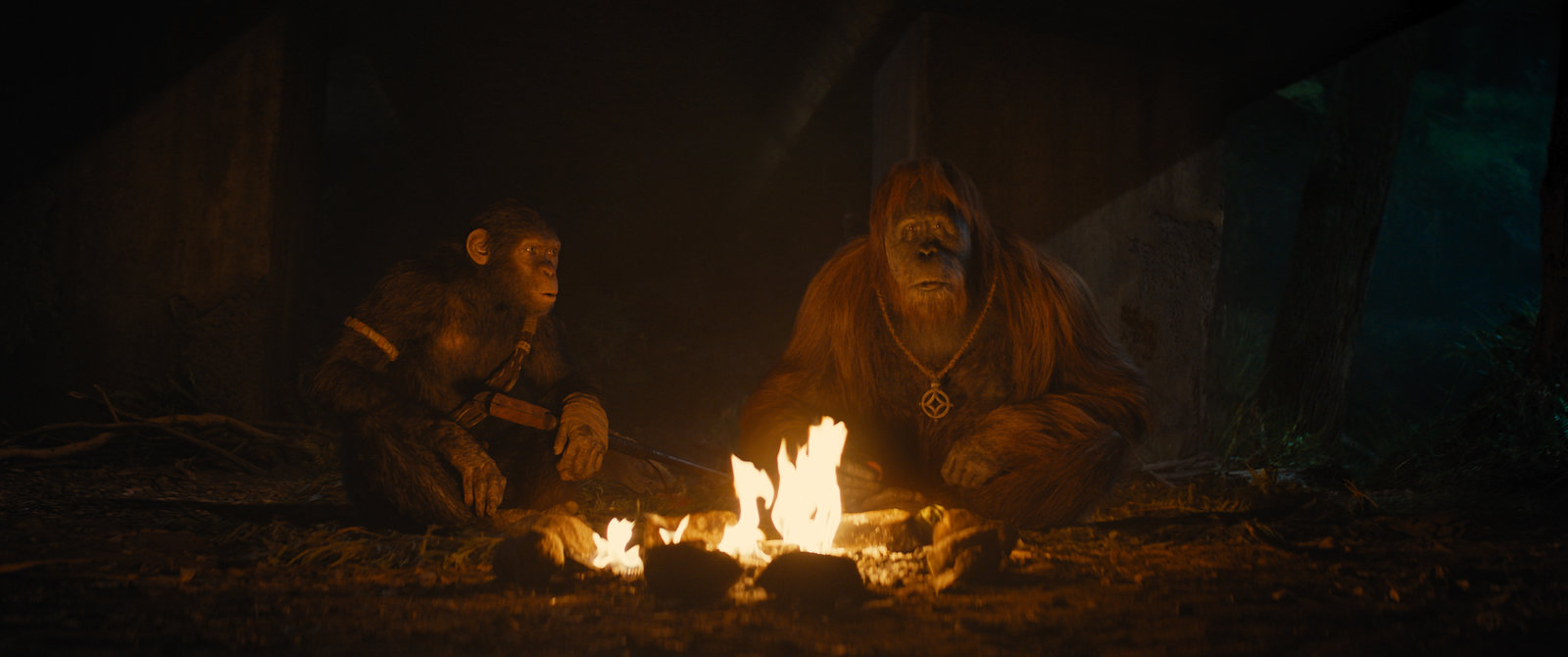Planet der Affen - New Kingdom  (4K Ultra HD) (+ Blu-ray) 