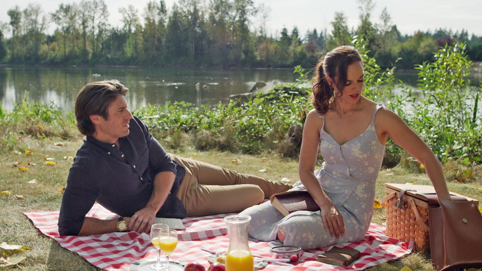 Liebe im Sonnenblumenfeld  (DVD)