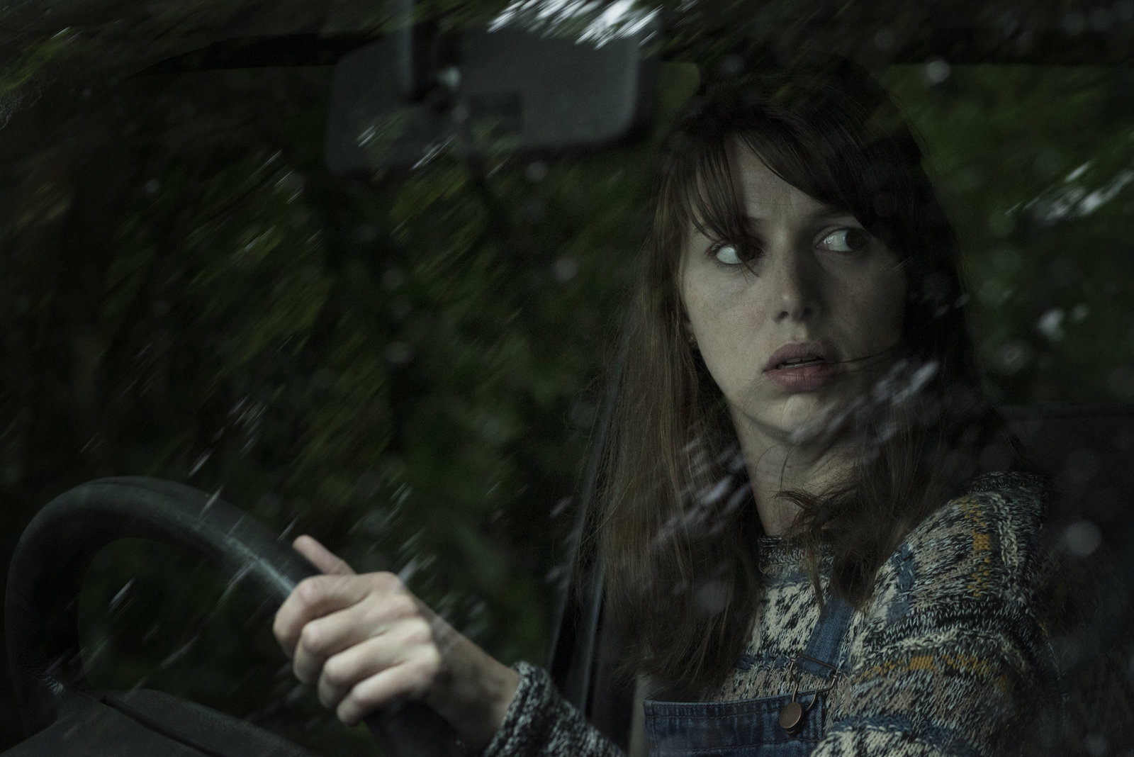 Hole in the Ground, The (blu-ray)