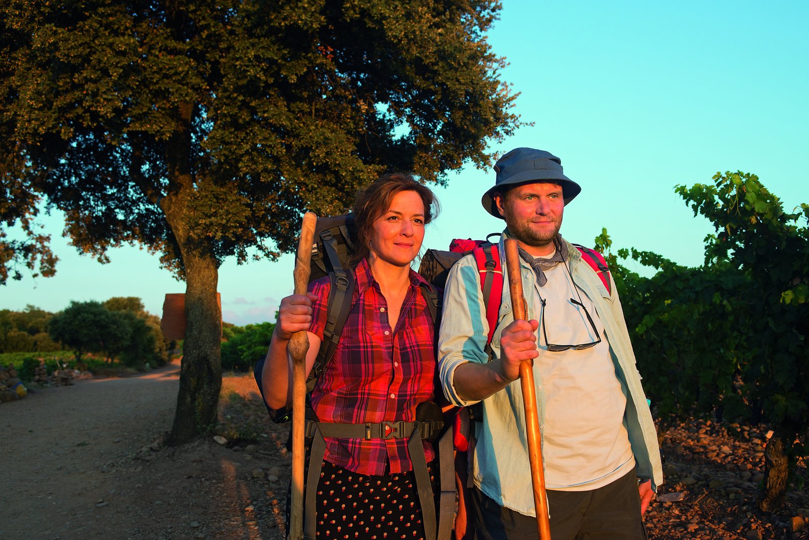 Ich bin dann mal weg  (DVD)