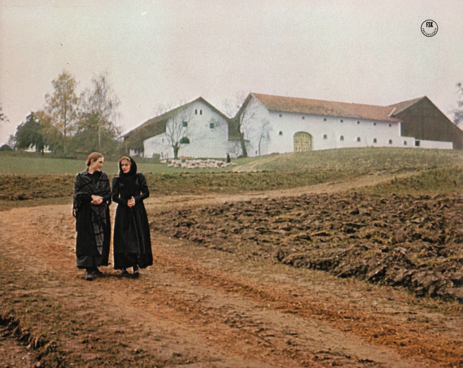 Der Sternsteinhof (Filmjuwelen)  (DVD)