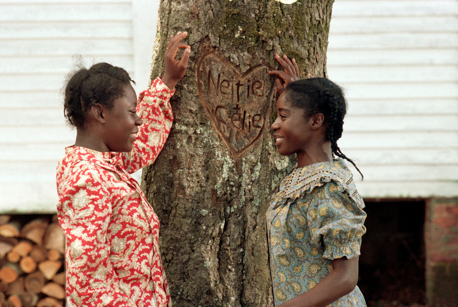 Die Farbe Lila  (DVD)