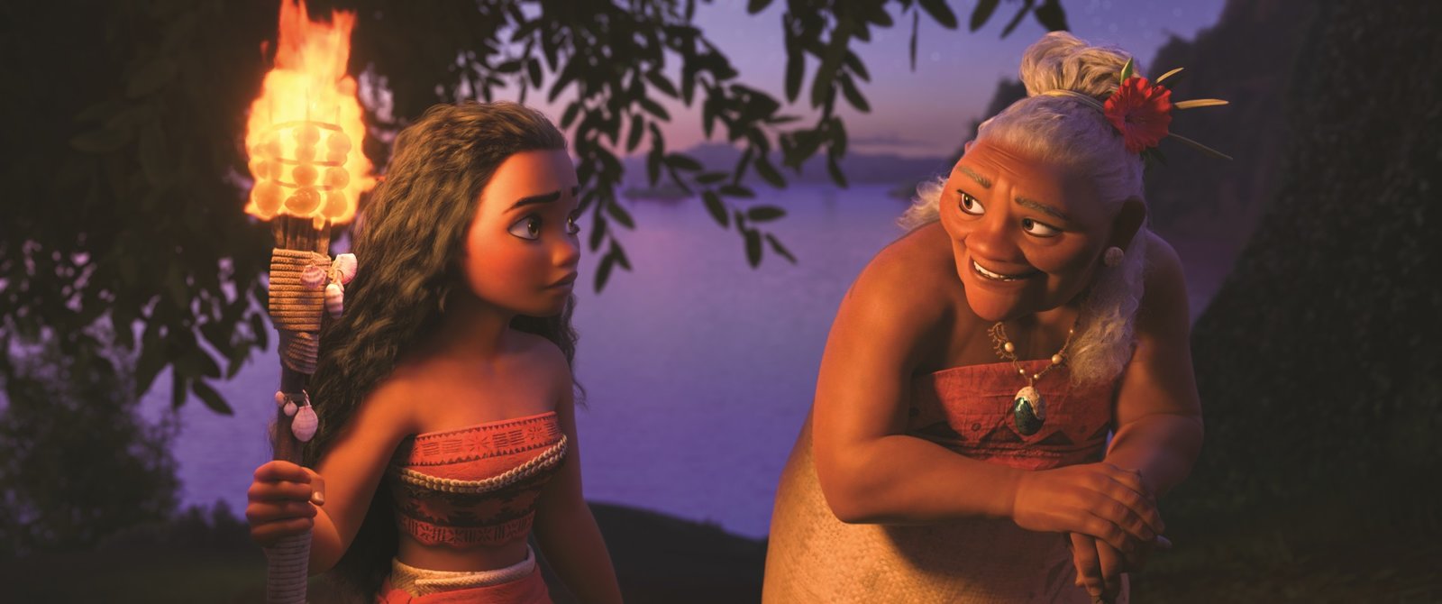 Vaiana 1+2  [2 DVDs]  (DVD)