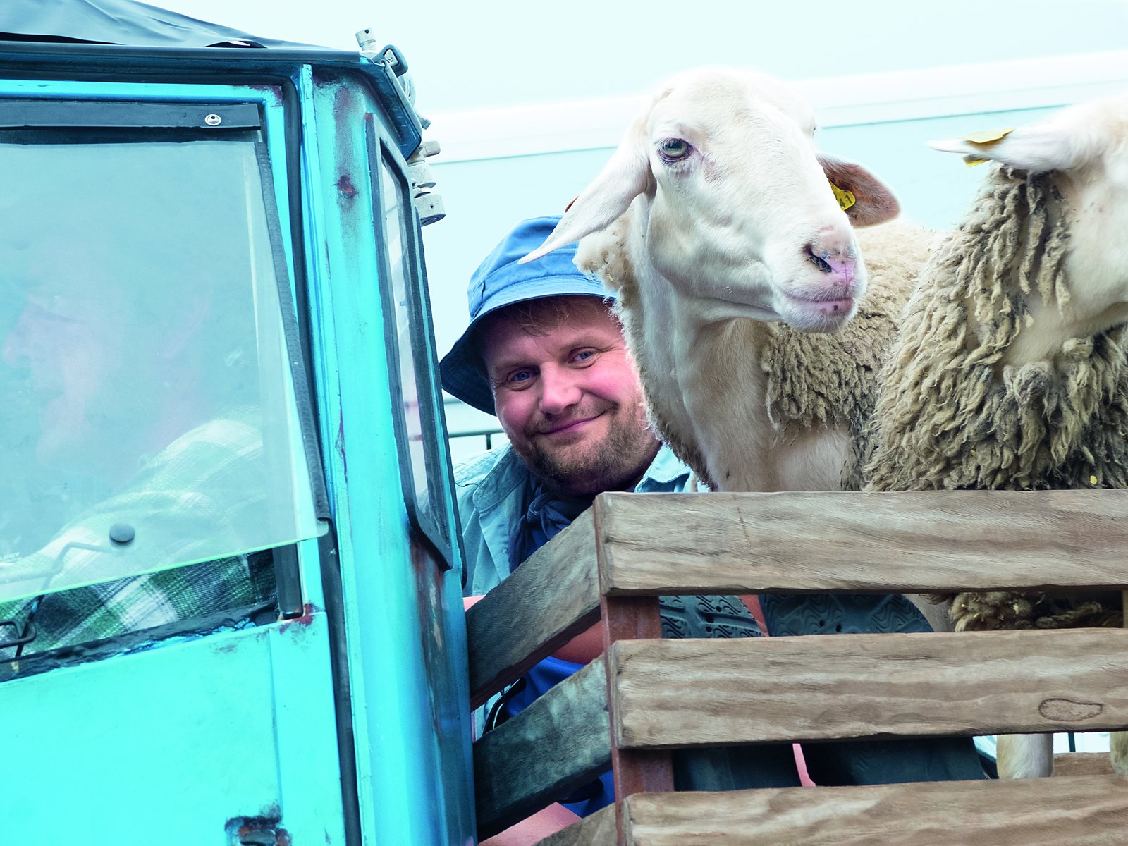 Ich bin dann mal weg  (DVD)