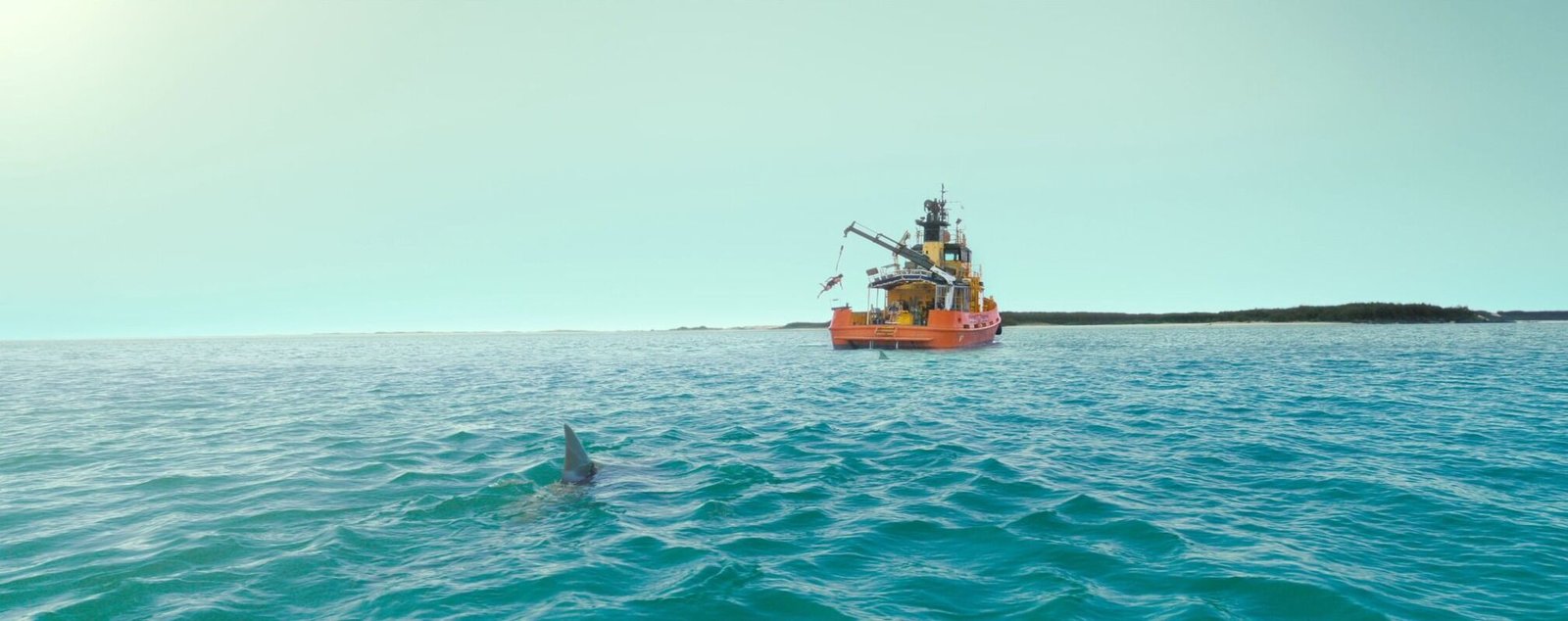 Dangerous Animals  (Blu-ray Disc)